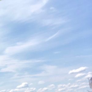 Meet your Posher, Nelson